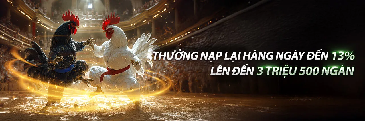 Gà chiến đang giao đấu kịch tính tại hi8 nổ hũ